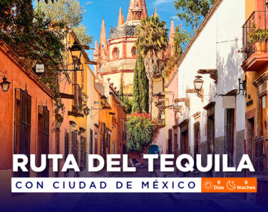 Ruta del tequila Ciudad de México (3)